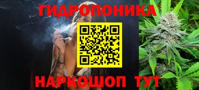jwh Славгород