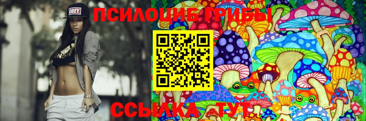 хочу наркоту  Вход с VPN  Новоалександровск  Галлюциногенные грибы MAGIC MUSHROOMS 