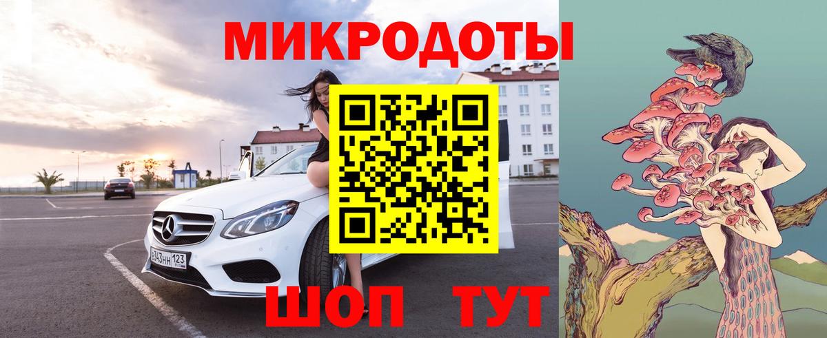 Галлюциногенные грибы Psilocybine cubensis Новоалександровск